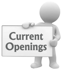 Director of Program Management Office (PMO)